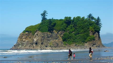 THE CLOSEST Hotels to Ruby Beach .